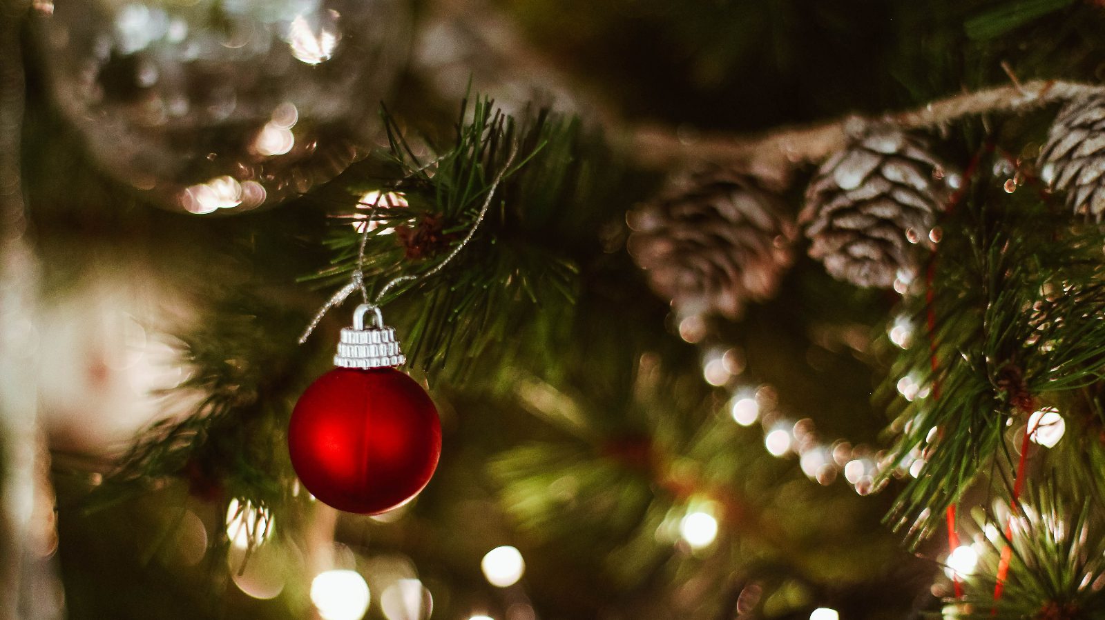 ornaments on a christmas tree.
