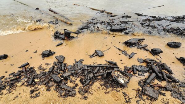 Dead fish and debris on a beach.