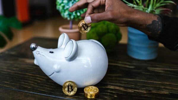 A piggy bank with crypto coins.