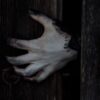 A creepy hand coming out of a doorway.