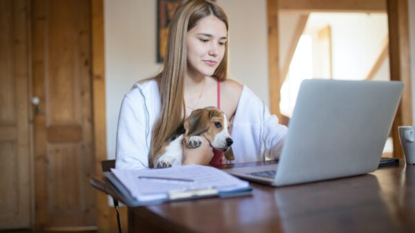 A girl is holding a dog while looking on her laptop.