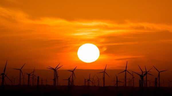 A wind energy farm at sunset.