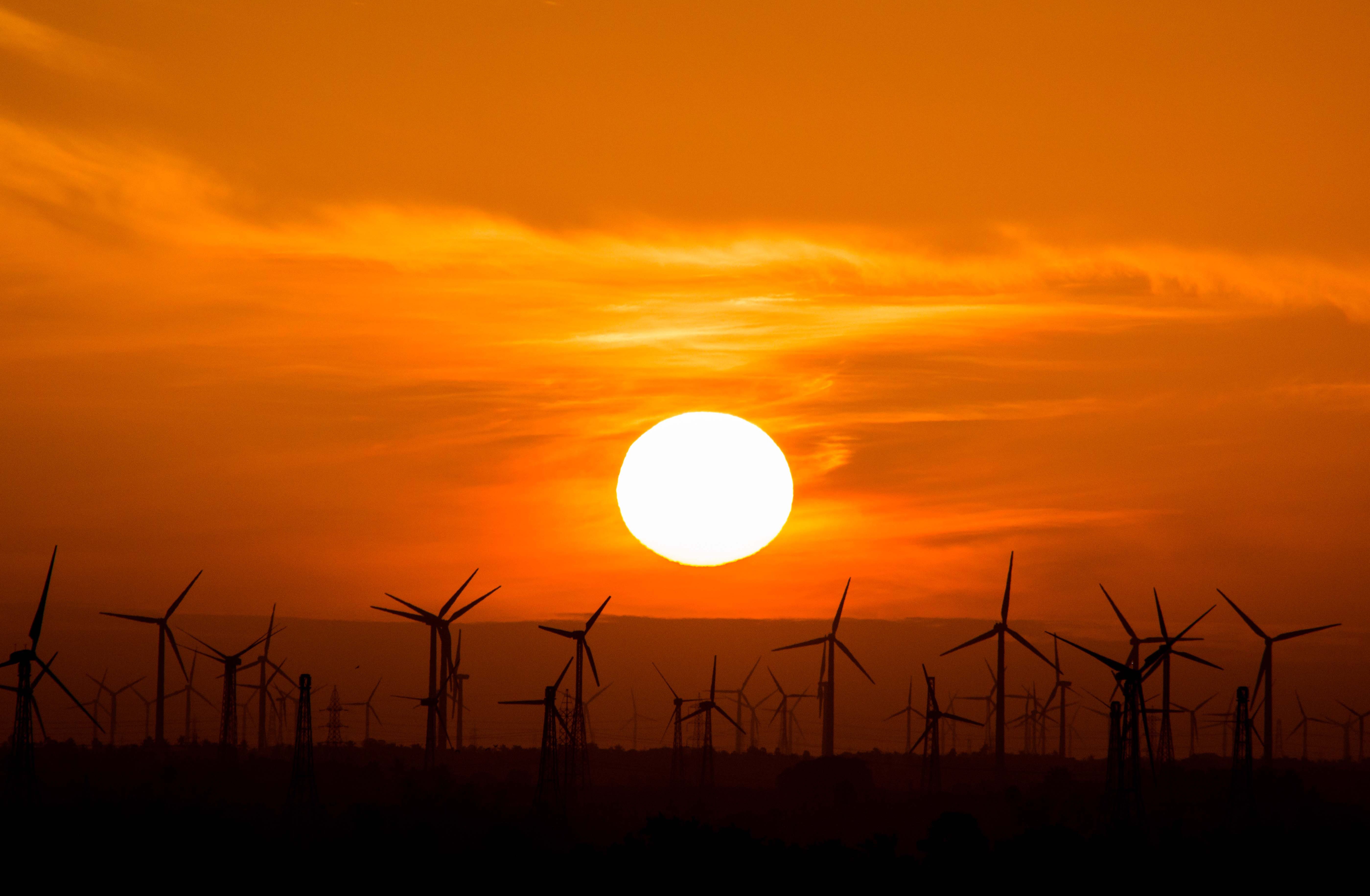 A wind energy farm at sunset.