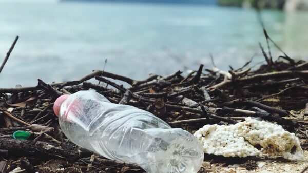 Plastic waste is everywhere.