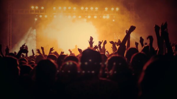 The crowd at a concert.